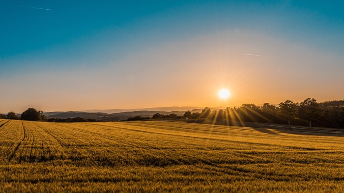 Dzierżawa i sprzedaż #4 image